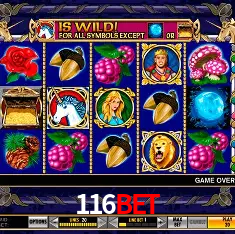 116BET Rio de Janeiro - Bonus Terms